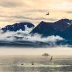 Fishing boat in Kenai Peninsula surrounded by mountains and wildlife Art Print